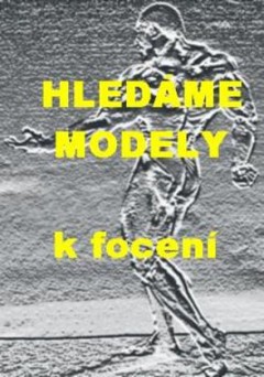 HLEDME MODELY - HONOR -  10.000  -  80.000K.