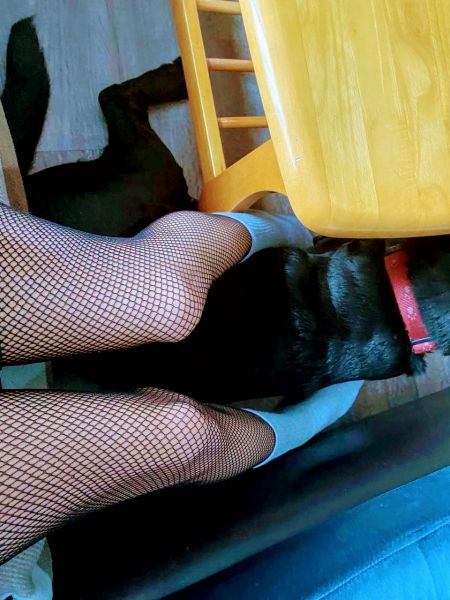 Sex seznamka, On hled� ji - Haf, kraj: St�edo�esk�