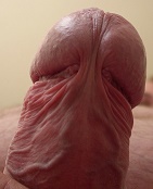 Sex seznamka, On hled ji - Hledm sportujc thlou dvku z BRNA!, 36 let, Brno