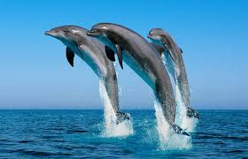 Erotick sluby, Prce v erotice - Club v zahranici u more, 22 let, kraj: Hl. m. Praha