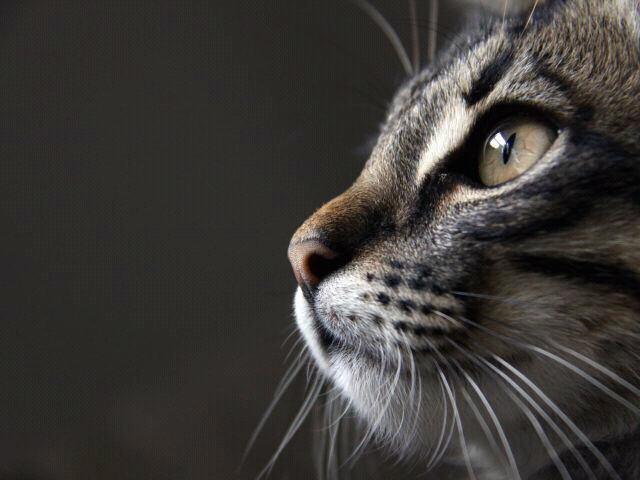 Sex seznamka, On hled� ji - Escort 18ti let�ho zaj��ka!, 18 let, kraj: Hl. m. Praha