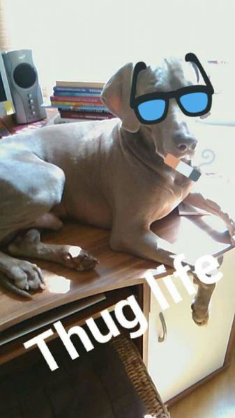 Sex seznamka, Ona hled jeho - Rozko v centru Ostravy..., 22 let, Ostrava