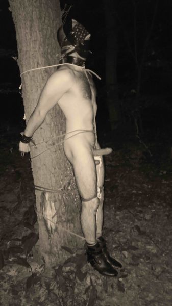 Sex seznamka, On hled ji - Pipoutn otroka v noci ke stromu - finann odmna, 38 let, kraj: Libereck